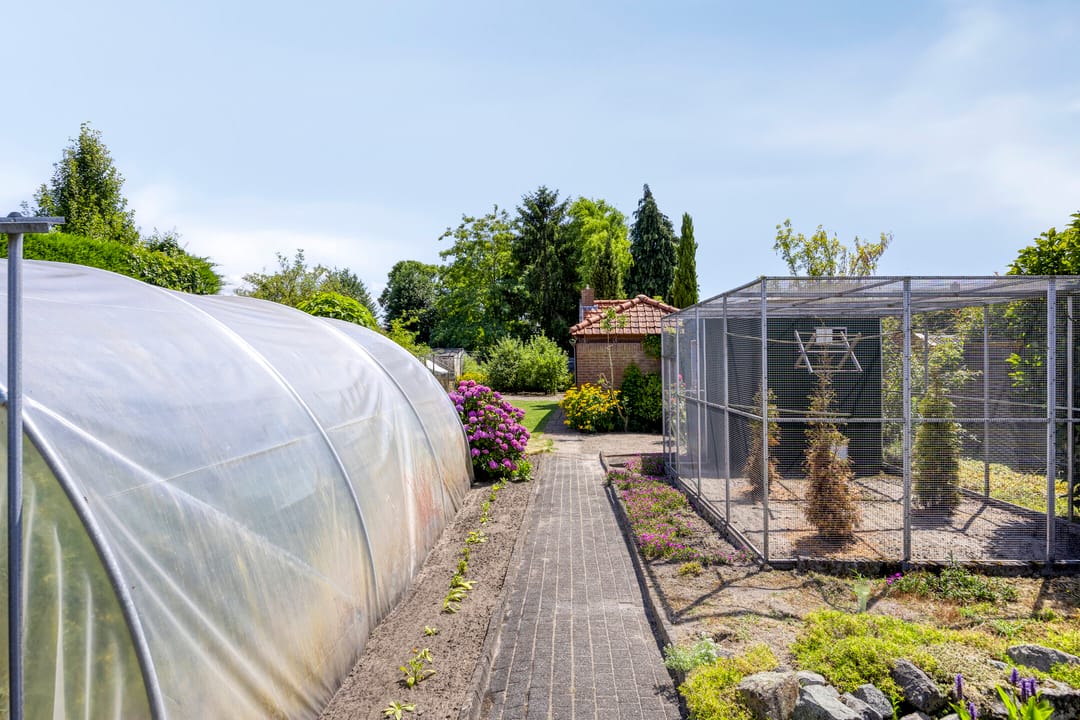 Foto 37 van de Krijntjes 35