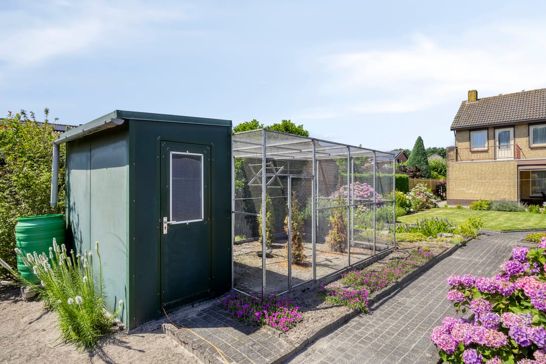 Foto 38 van de Krijntjes 35