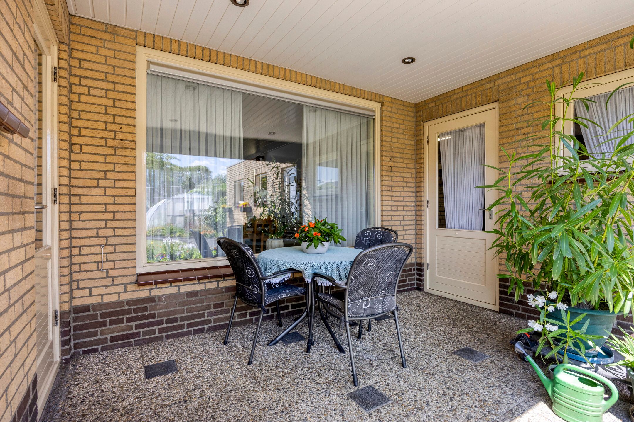 Foto 30 van de Krijntjes 35