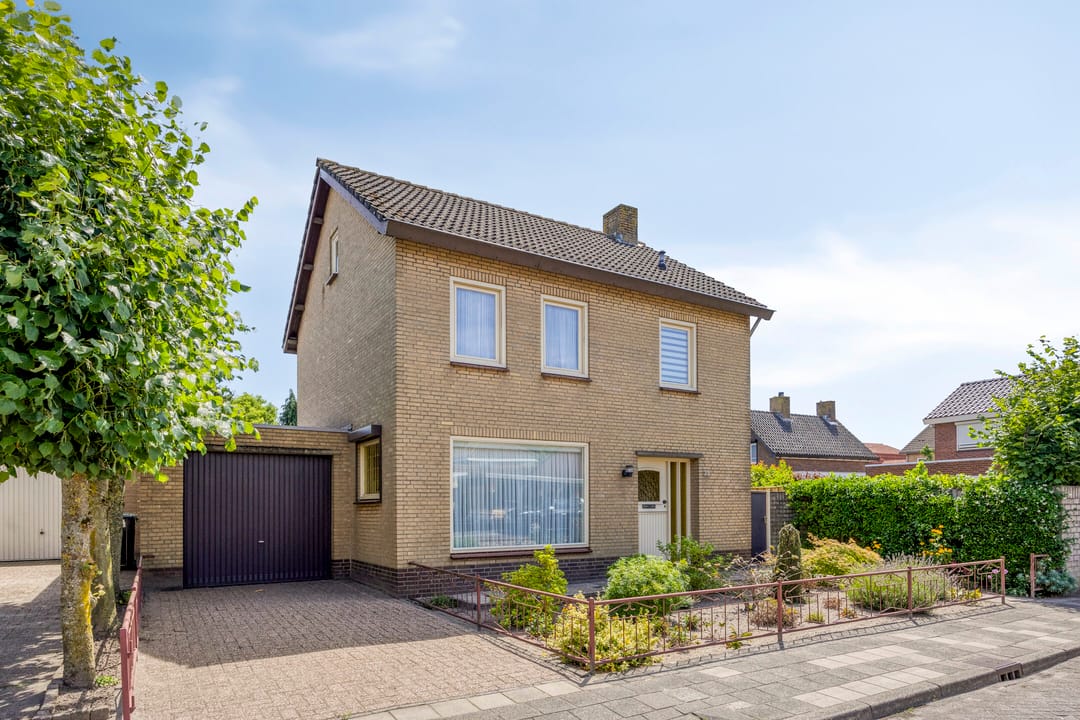 Foto 1 van de Krijntjes 35