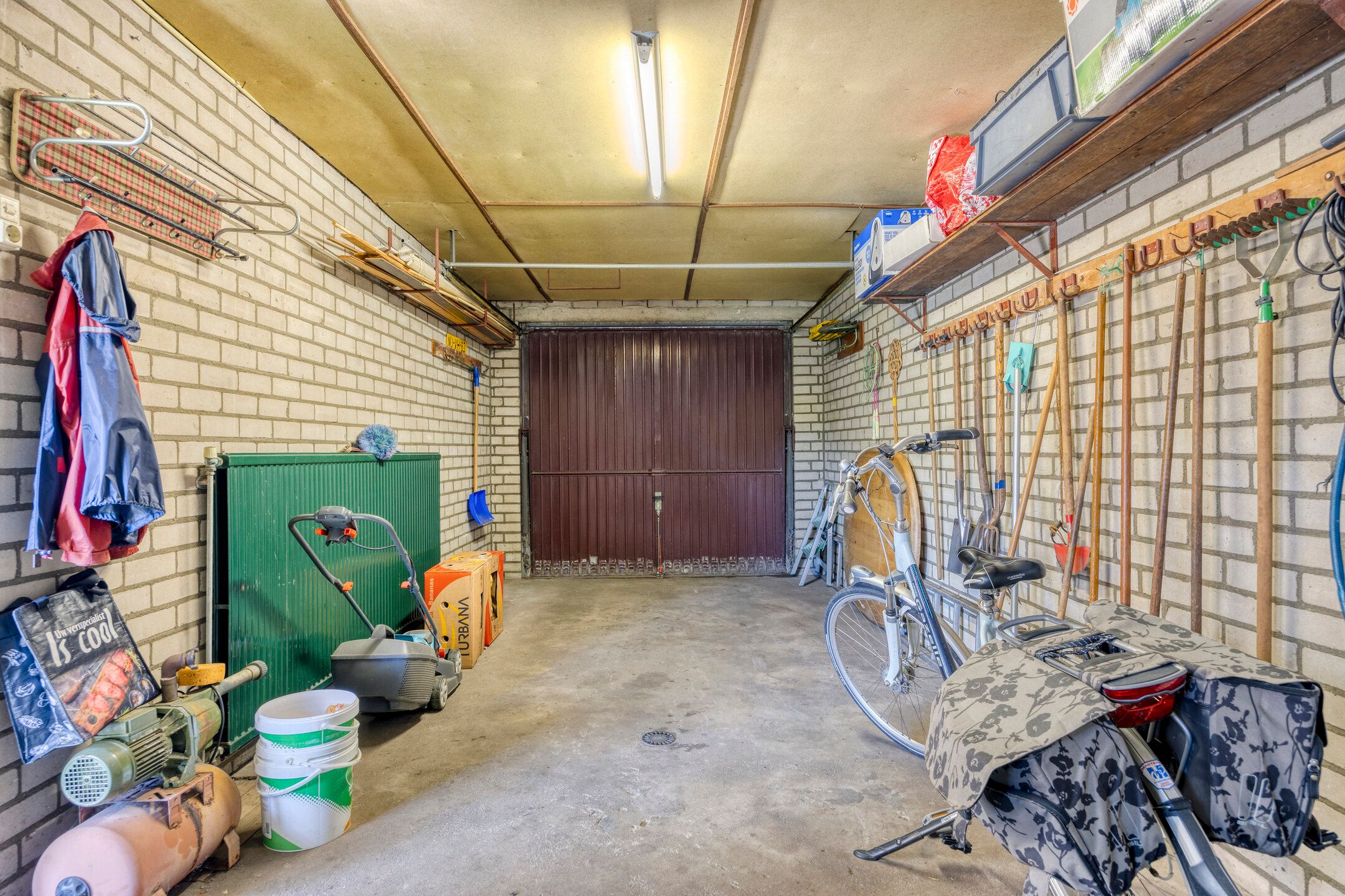 Foto 39 van de Krijntjes 35