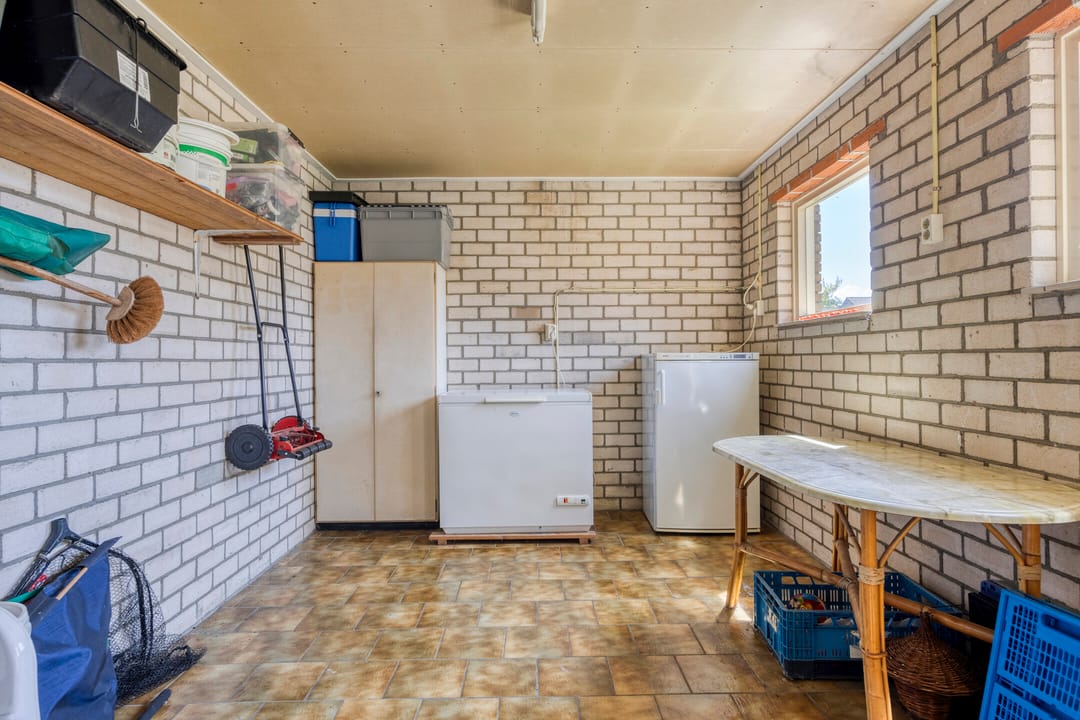 Foto 41 van de Krijntjes 35