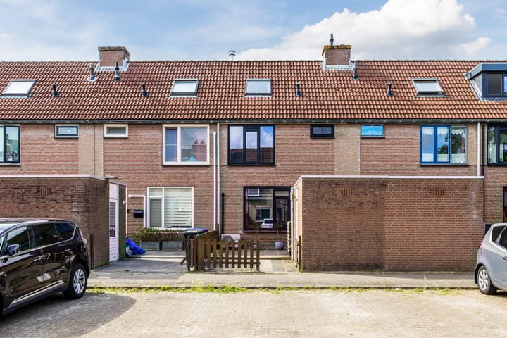 undefined main image