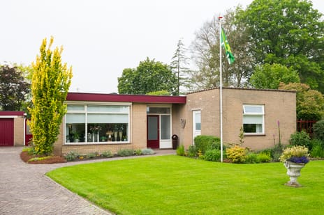 undefined main image