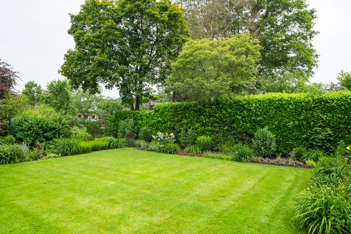 Photo 46 of Wilhelminalaan 1