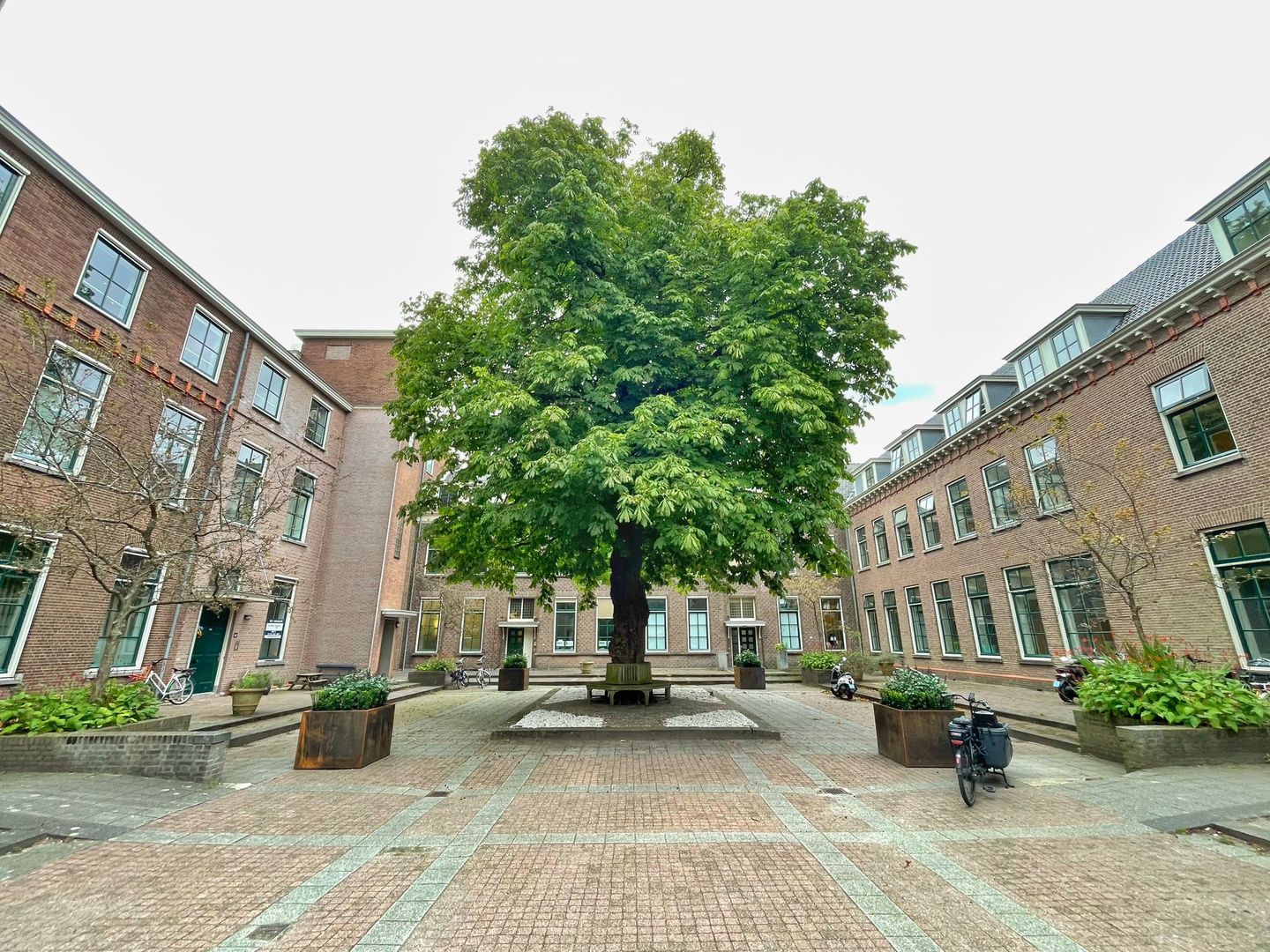 Bekijk foto 3 van Rhijngeesterstraatweg 40-D