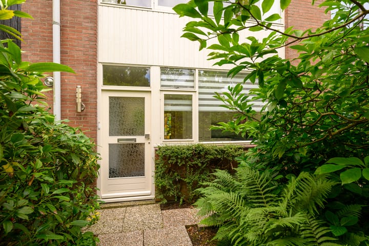 Foto 31 van Plataan 11