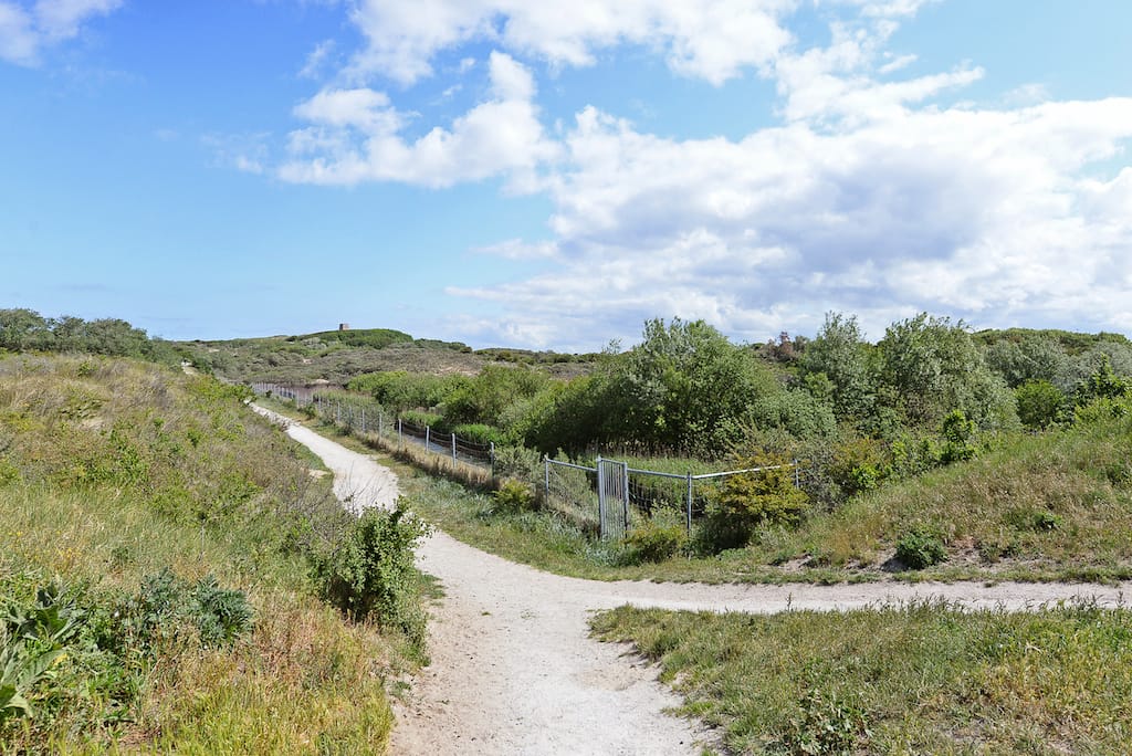 Foto 45 van Groningsestraat 197