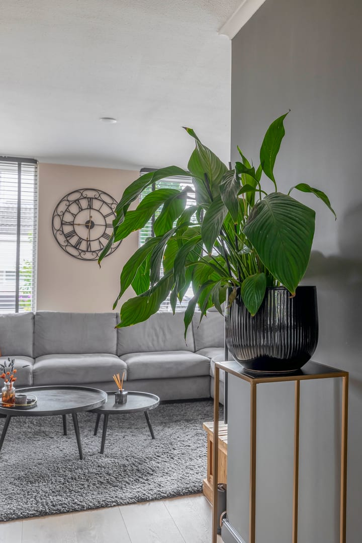 Photo 18 of Betuwehof 32-A