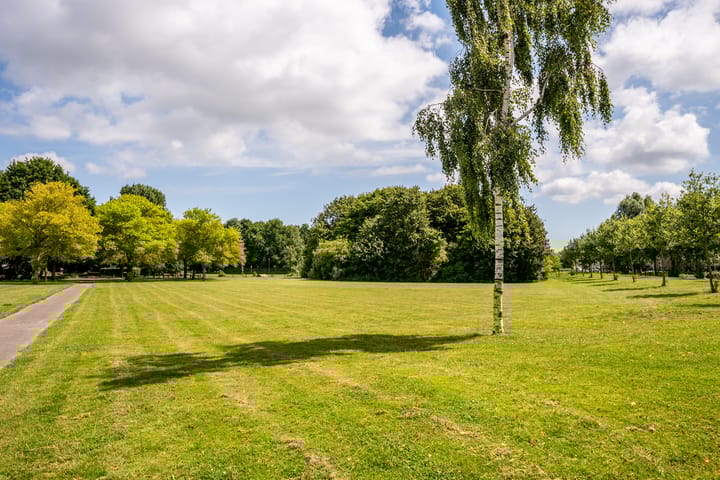 Foto 41 van Jan Bijhouwerstraat 26