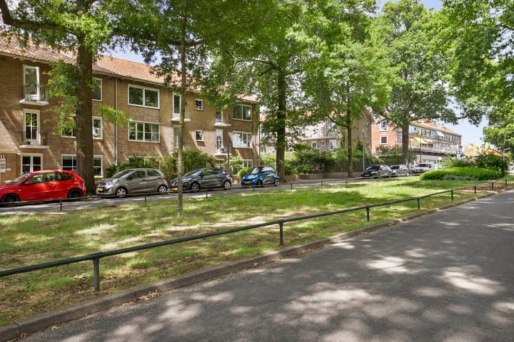 Foto 30 van Bosdrift 146