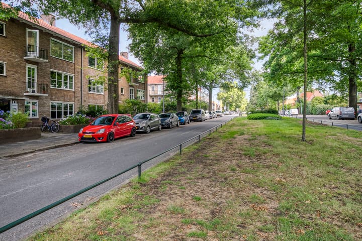 Foto 31 van Bosdrift 146