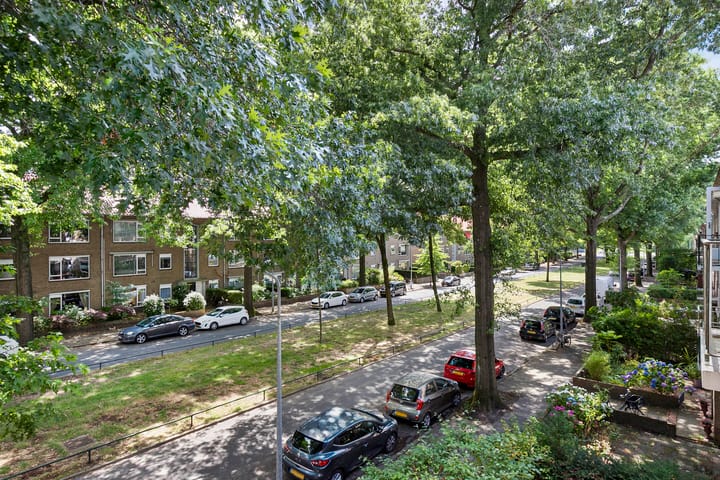 Foto 7 van Bosdrift 146