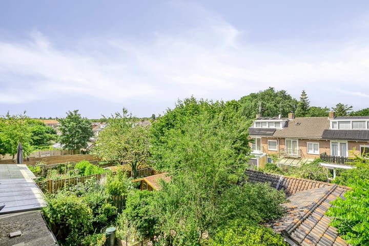 Foto 13 van Bosdrift 146