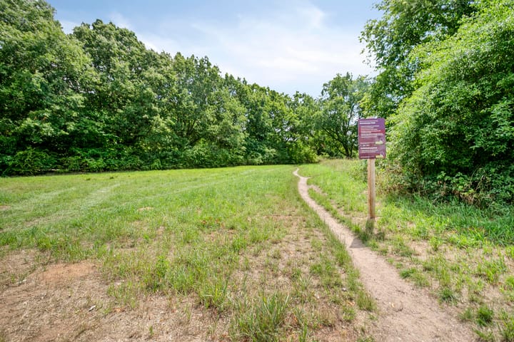 Foto 34 van Bosdrift 146