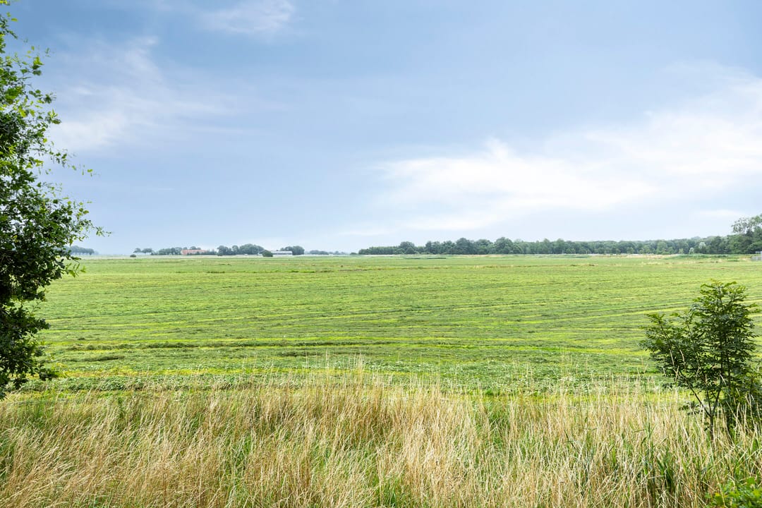 Foto 11 van Hoofdweg Wedderveer 5