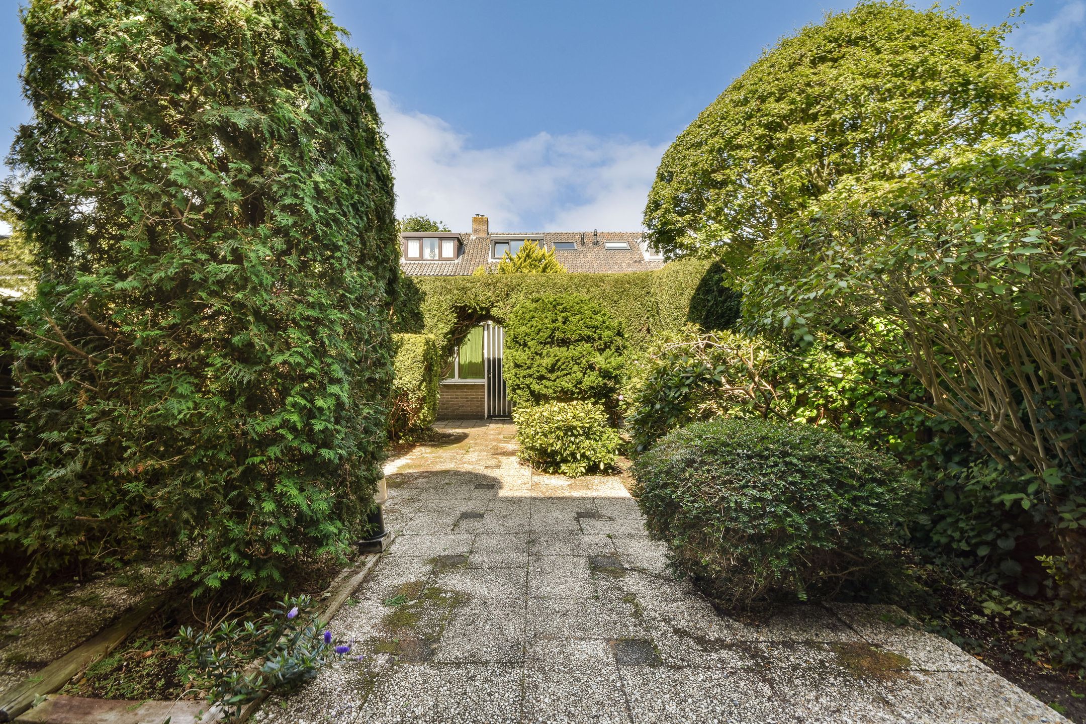 Photo 12 of Jacob Catslaan 24