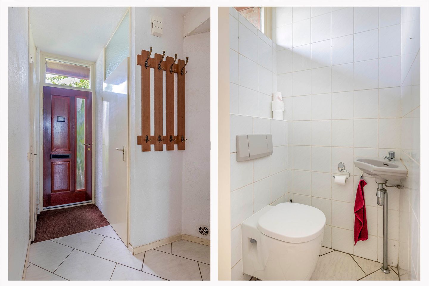 Photo 10 of Forel 24