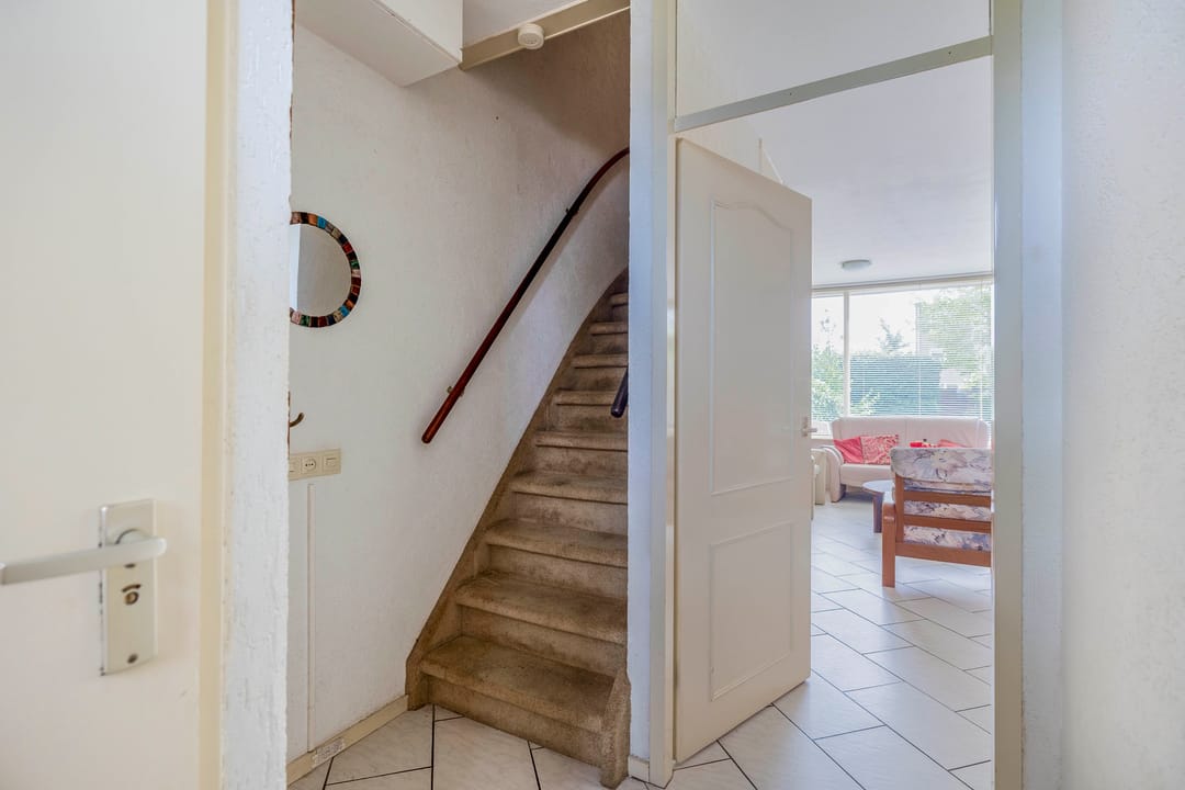 Photo 11 of Forel 24