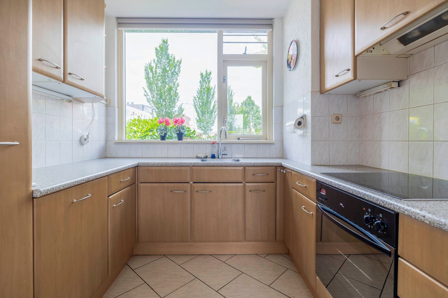 Photo 19 of Forel 24