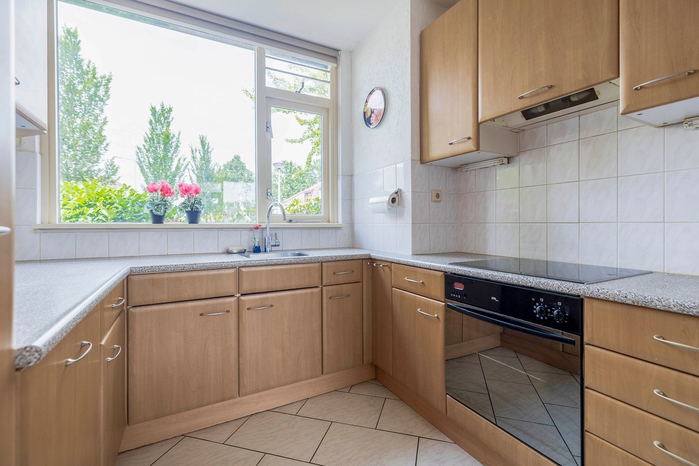 Photo 20 of Forel 24