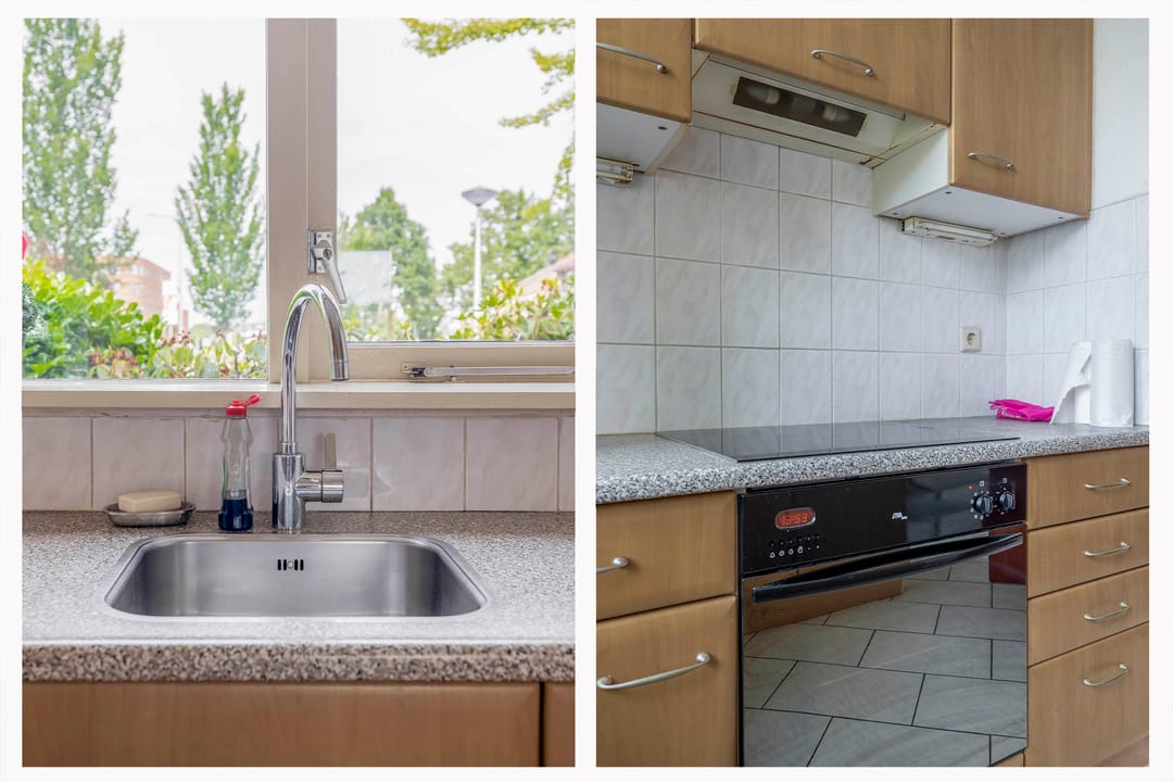 Photo 22 of Forel 24