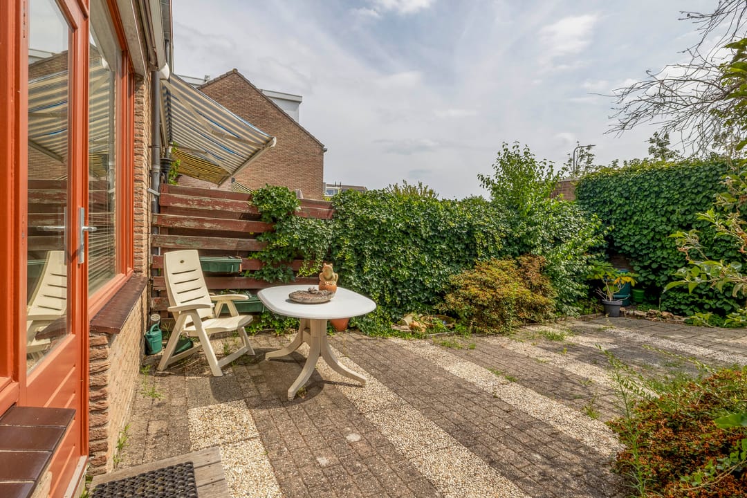 Photo 23 of Forel 24