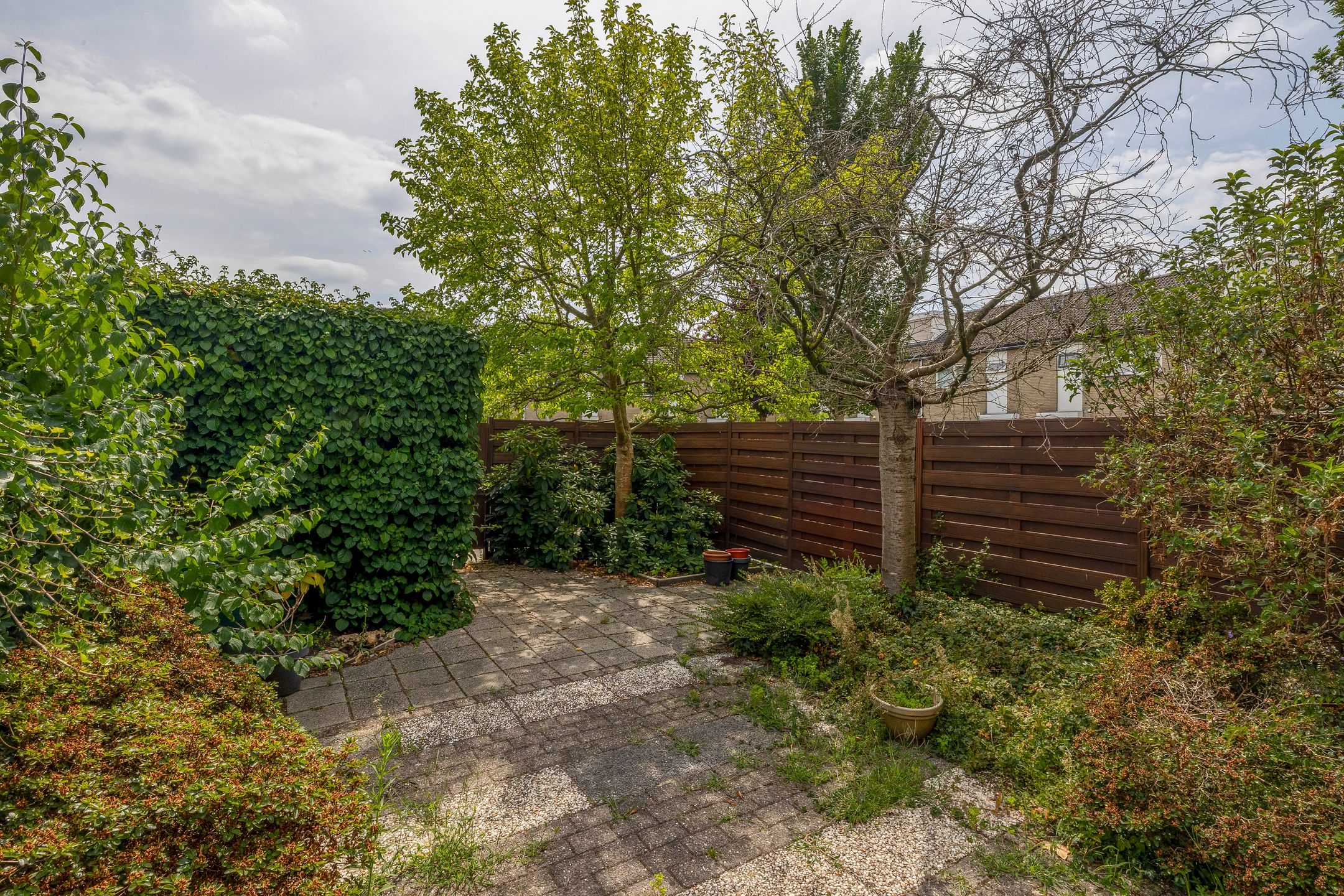 Photo 24 of Forel 24