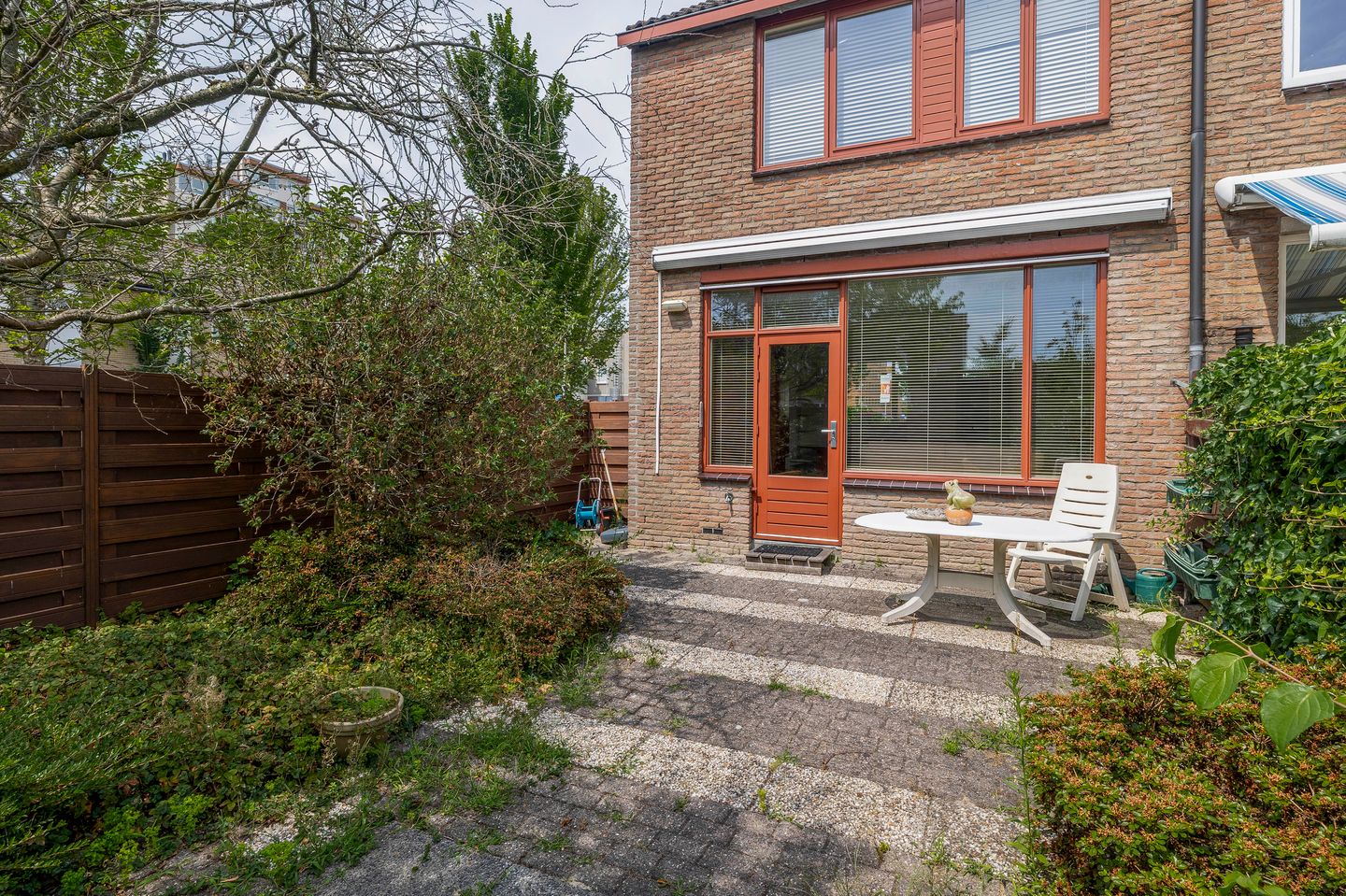 Photo 25 of Forel 24