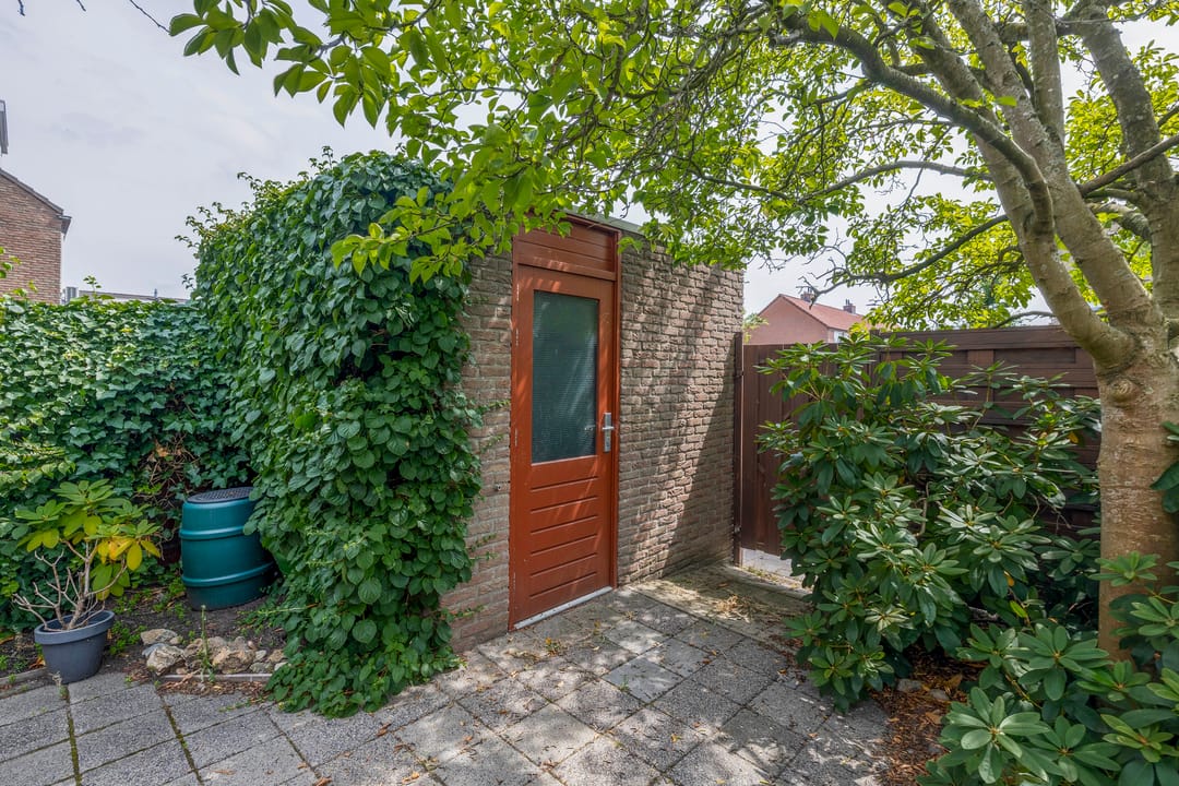 Photo 26 of Forel 24