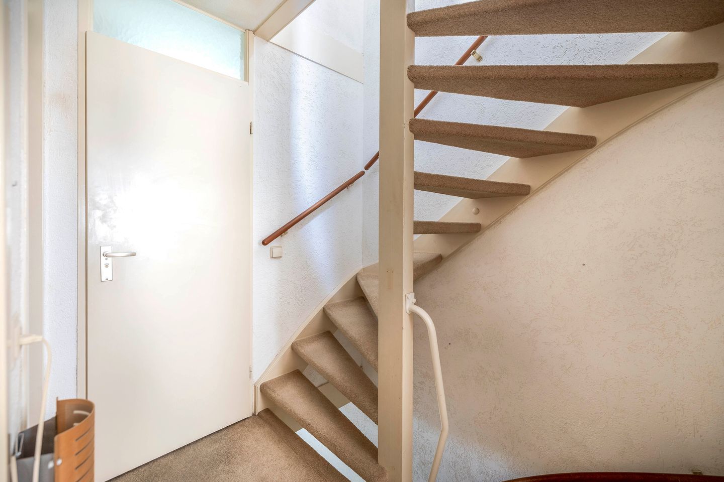 Photo 29 of Forel 24