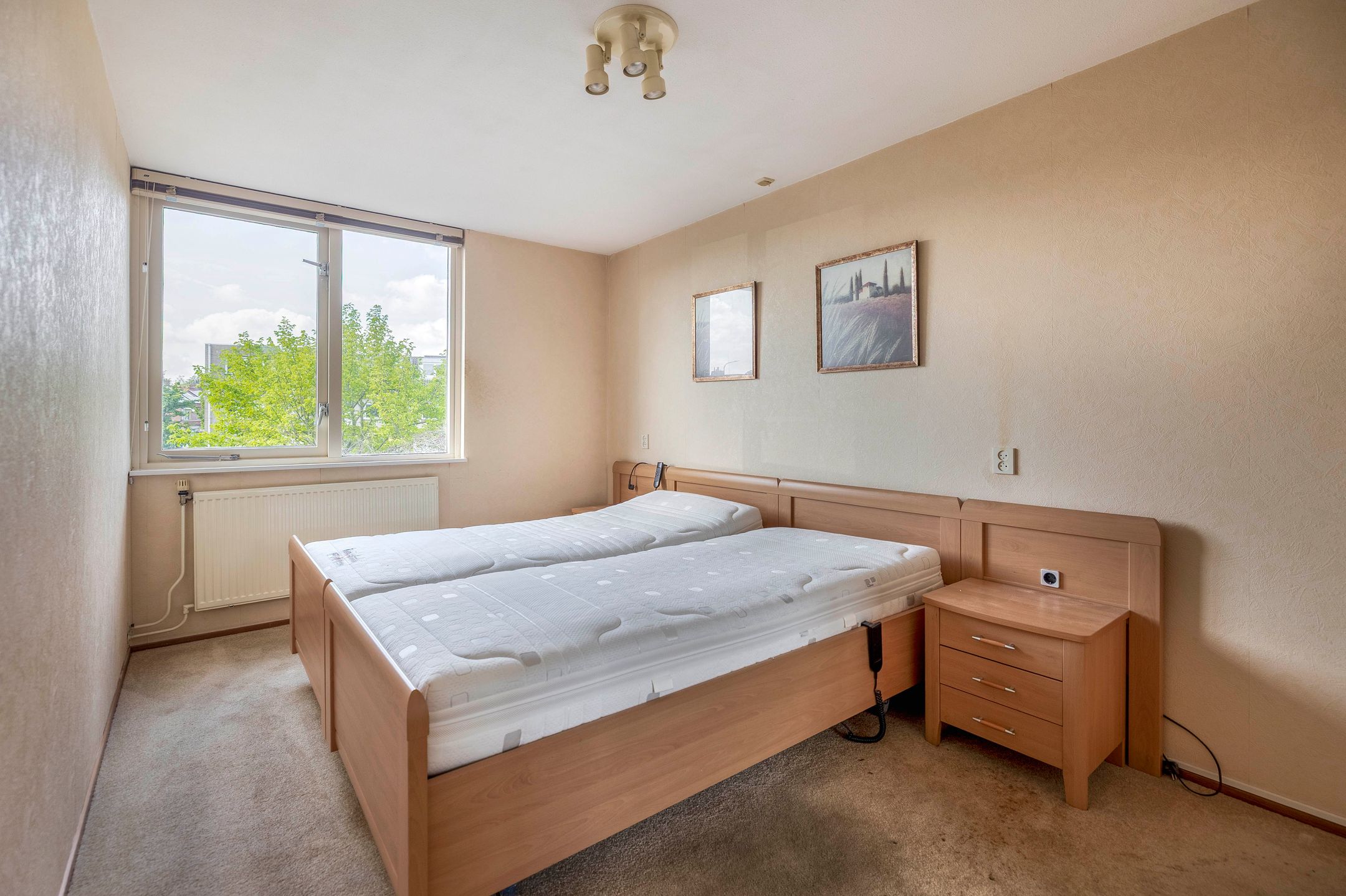 Photo 30 of Forel 24