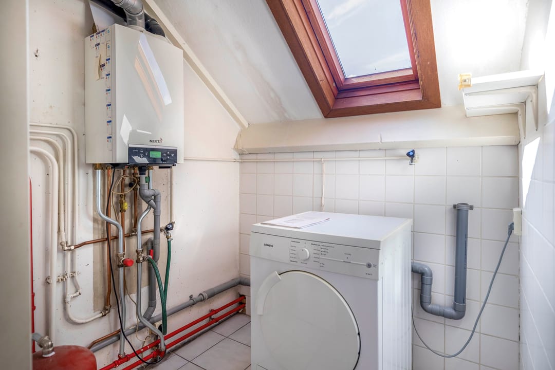 Photo 38 of Forel 24