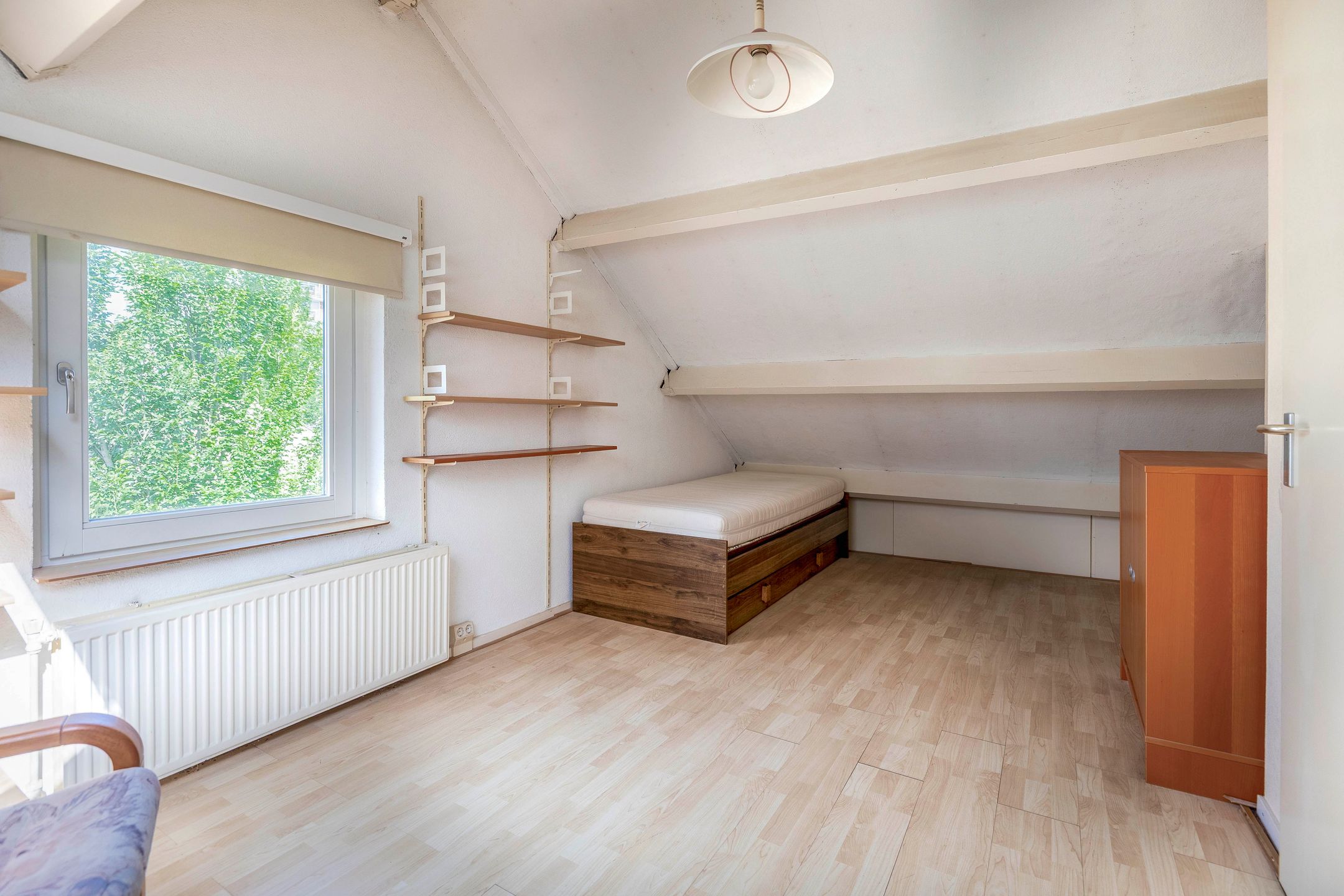 Photo 39 of Forel 24