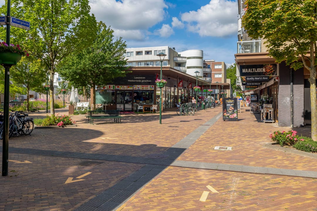 Photo 41 of Forel 24