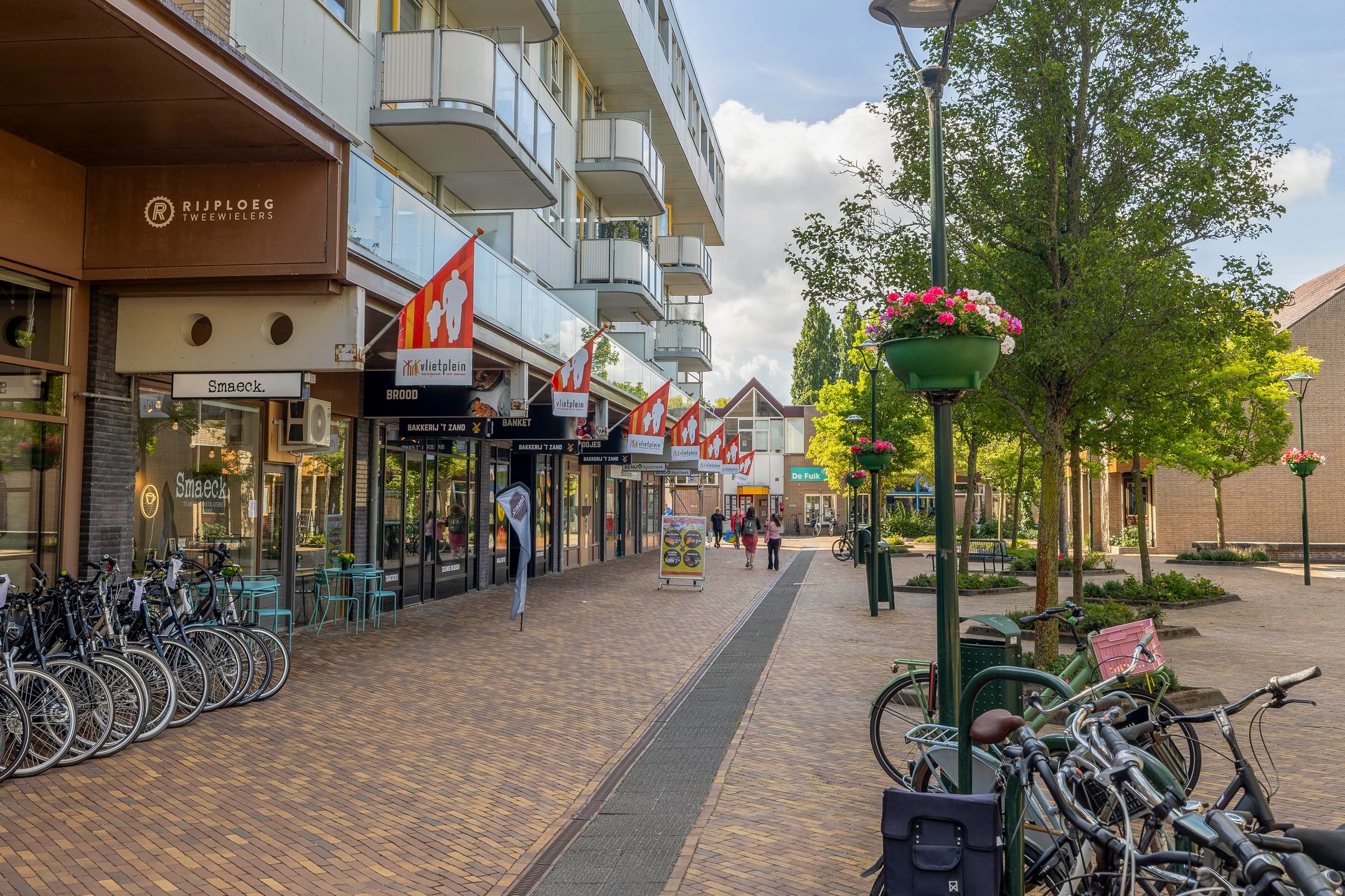 Photo 42 of Forel 24