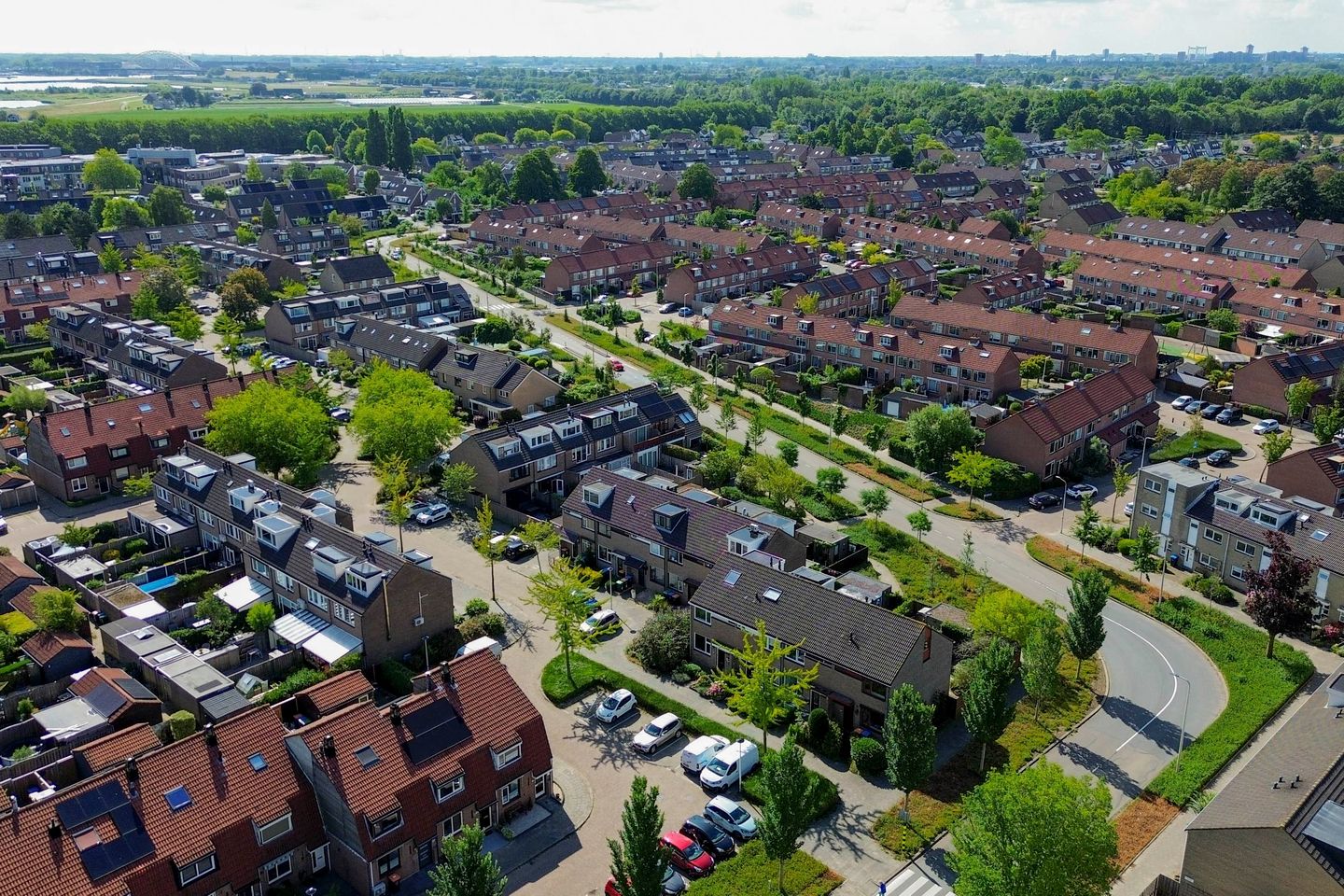 Photo 44 of Forel 24