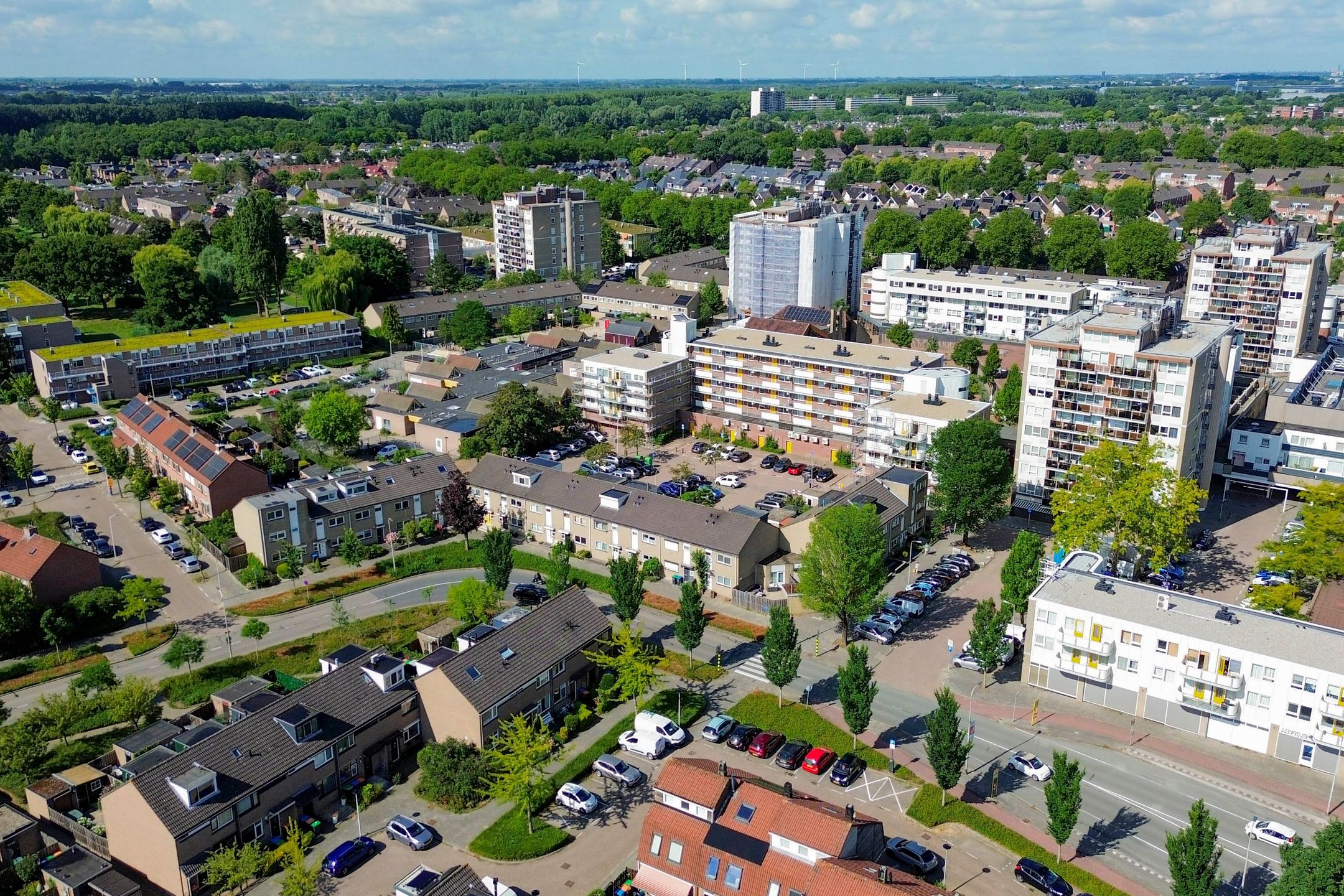 Photo 45 of Forel 24