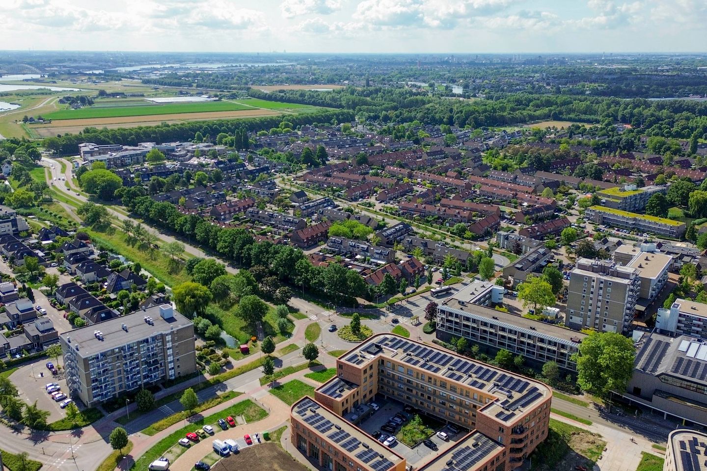 Photo 49 of Forel 24