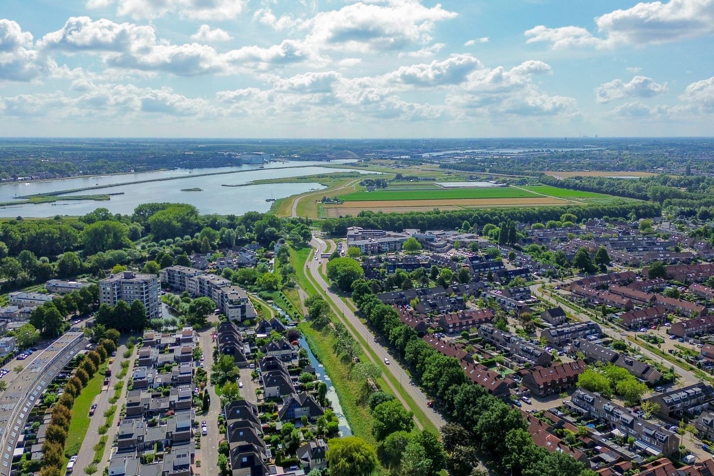 Photo 50 of Forel 24