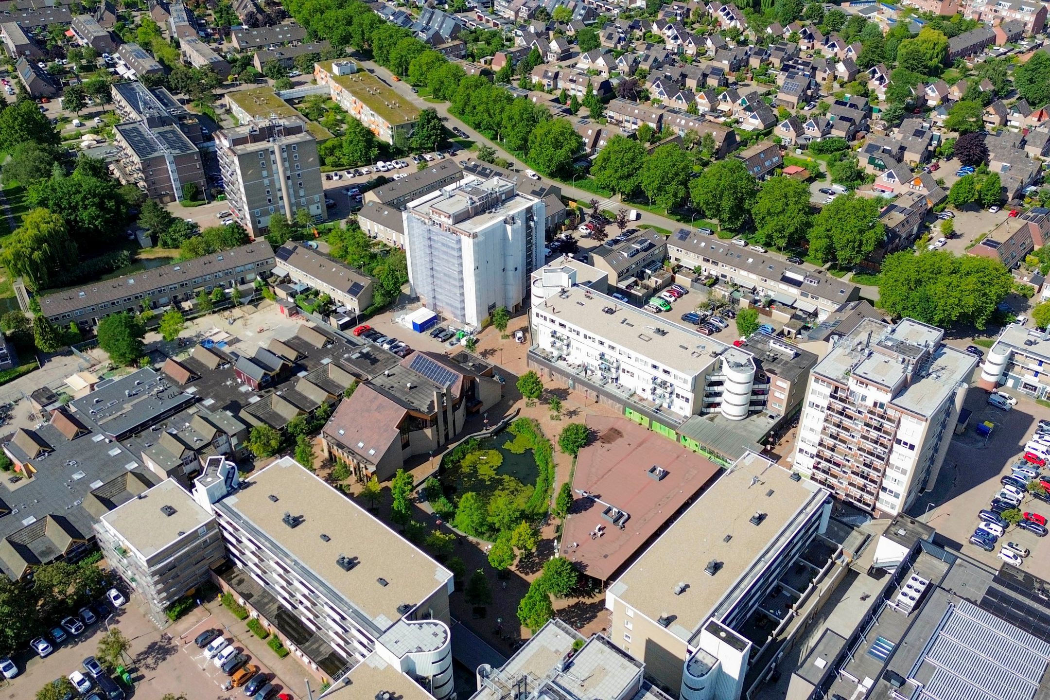 Photo 51 of Forel 24