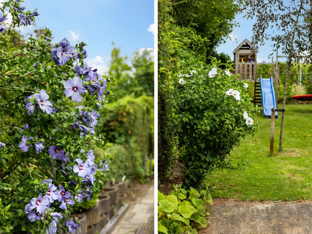 Foto 32 van Weg naar Voorst 146-A