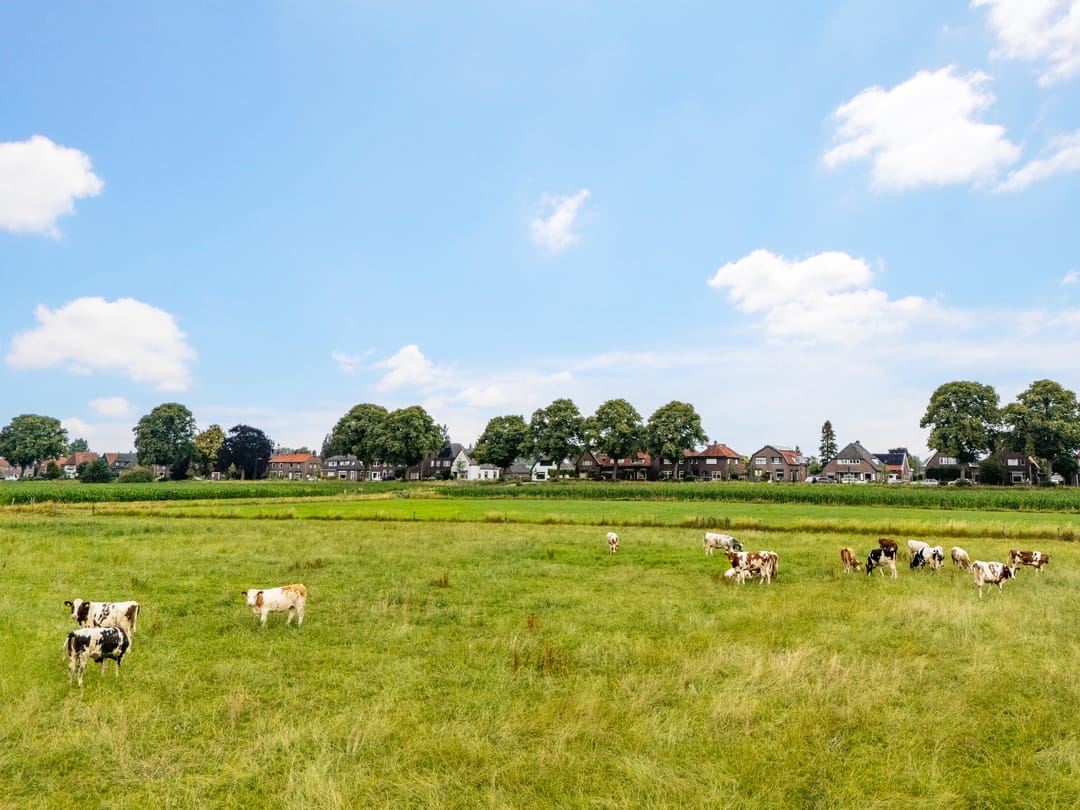 Foto 38 van Weg naar Voorst 146-A