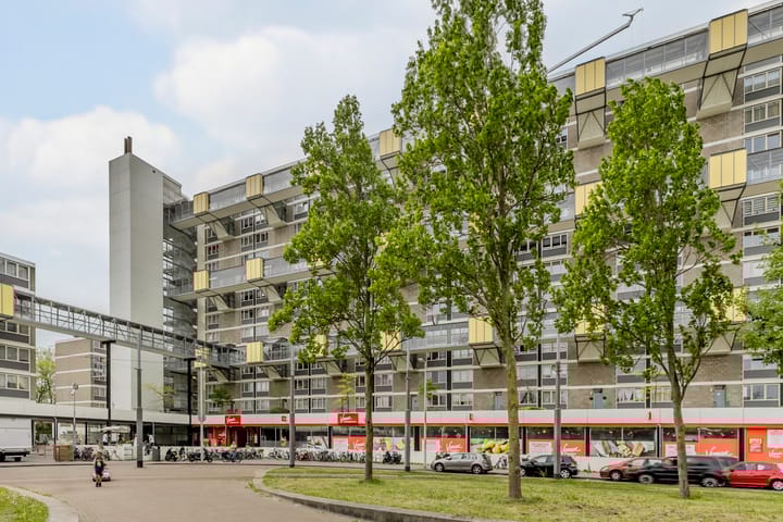 Dijkgraafplein 227