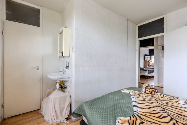 Foto 20 van Dijkgraafplein 227