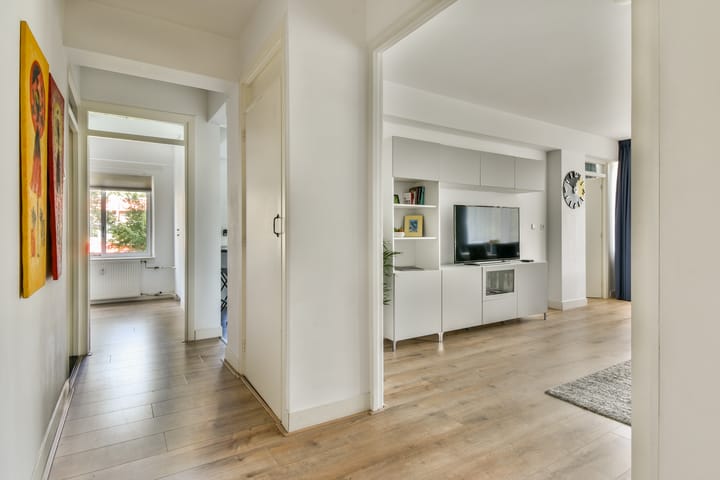 Foto 2 van Meander 803