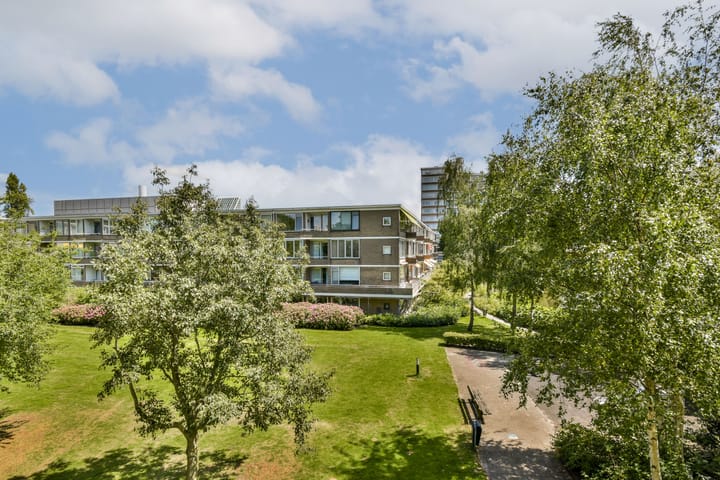 Foto 9 van Meander 803