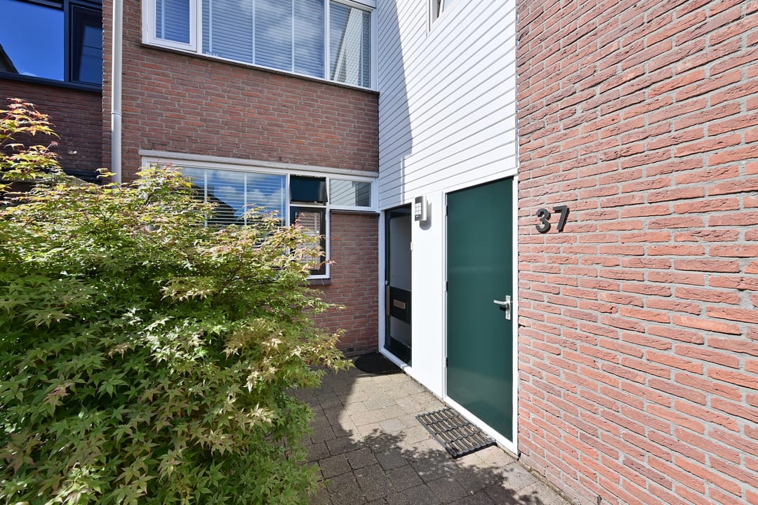 Foto 11 van Antilope 37