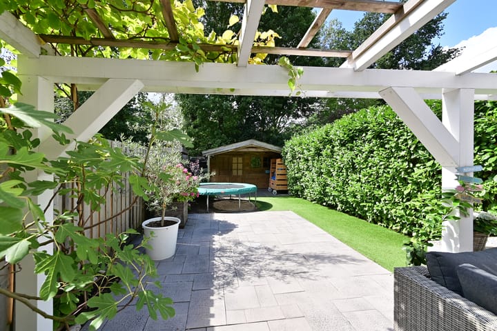 Foto 19 van Antilope 37