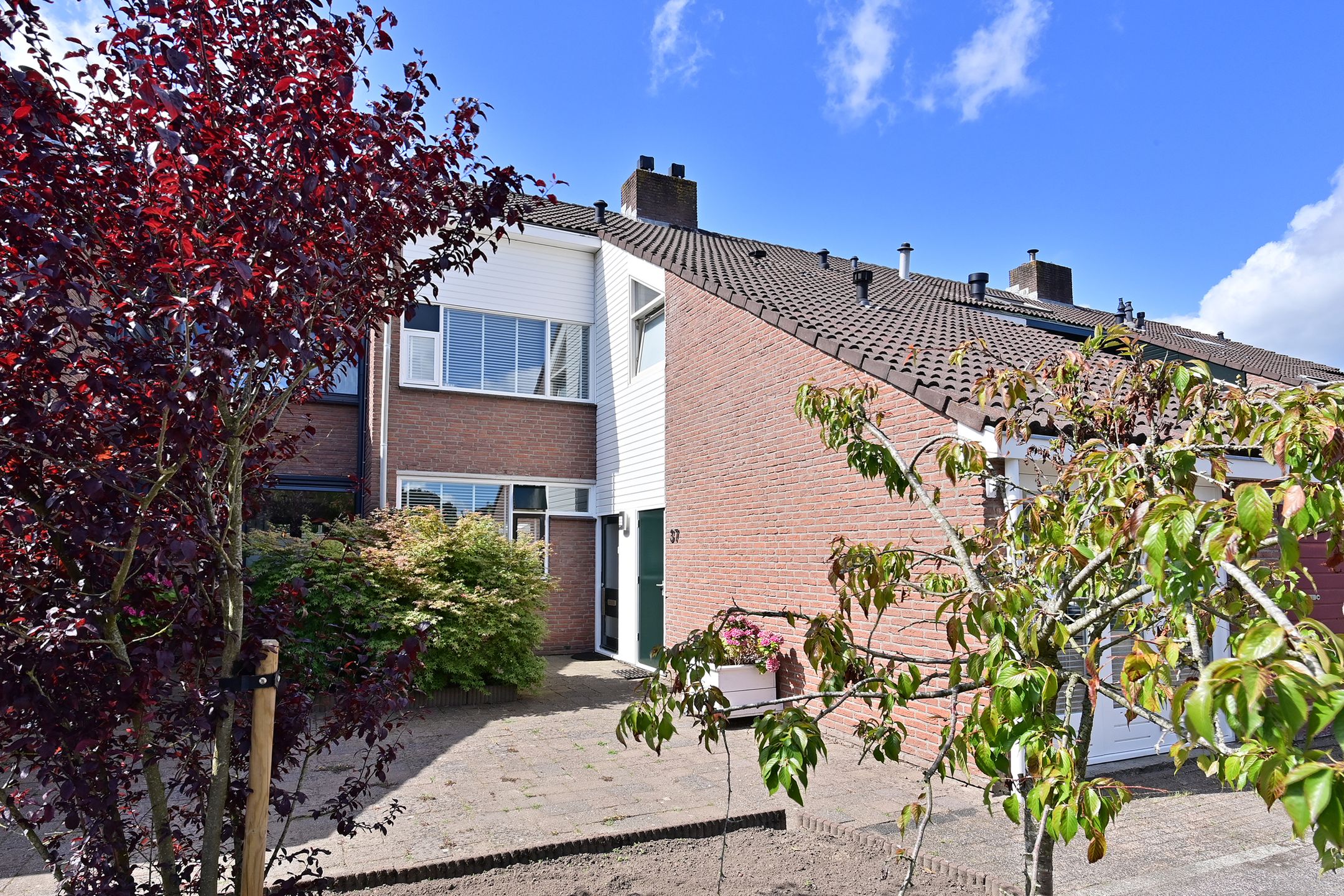 Foto 21 van Antilope 37